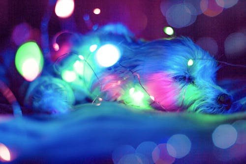 Free Blue , Green and Pink Light Bokeh Stock Photo