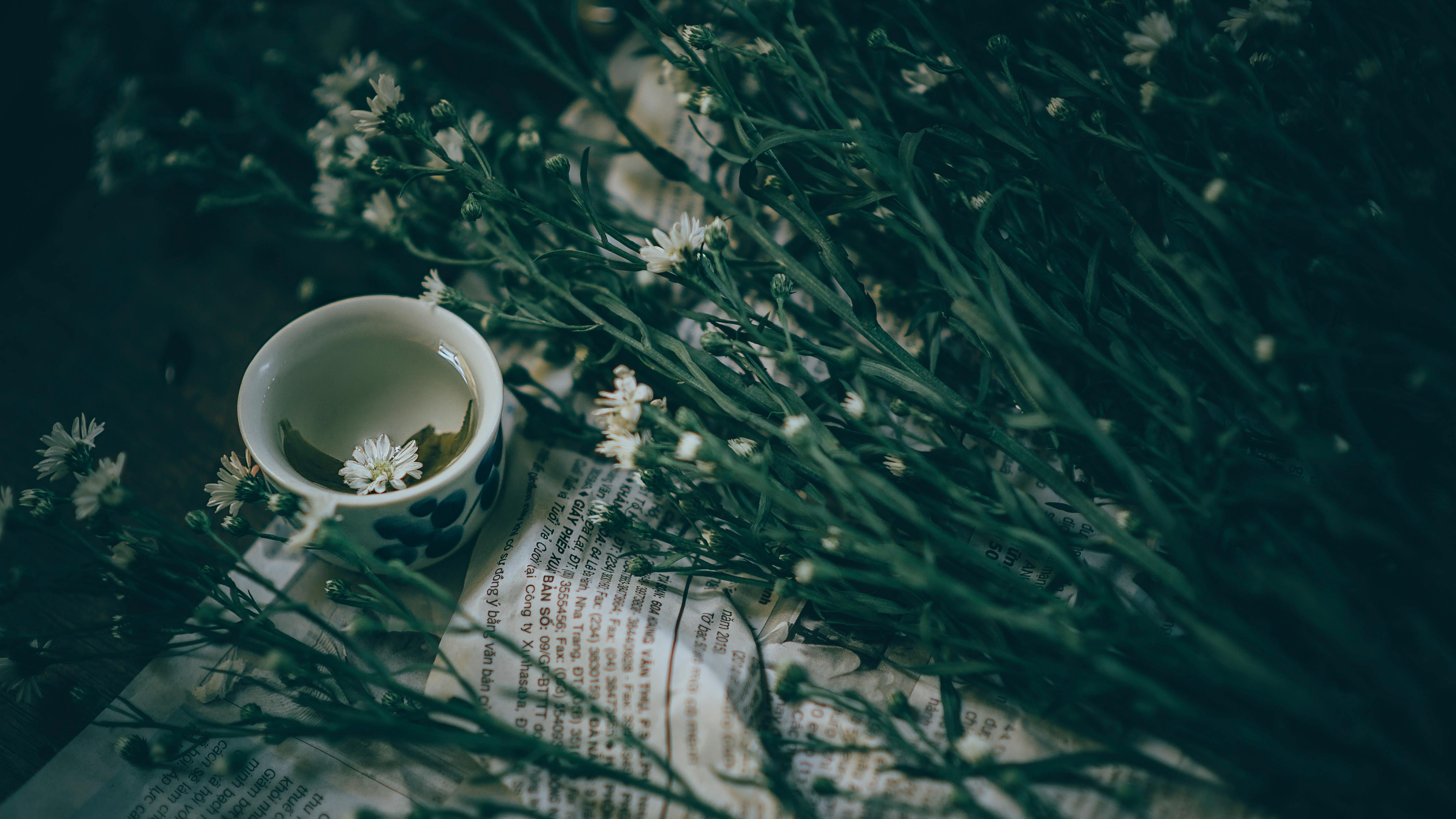 Chamomile tea with chamomile flowers - natural muscle relaxant