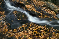 长时间在布满秋叶的岩石上暴露