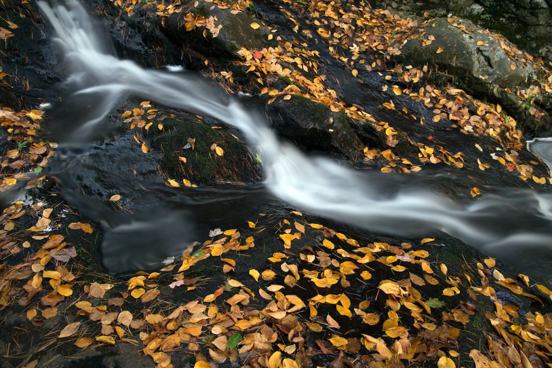 Fall Rocks Up Close Falls on Black Stones · Free Stock Photo