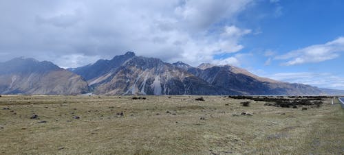 Free stock photo of mountain, new zealand, plain