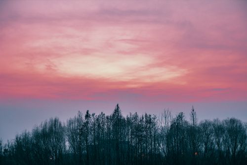Free Beautiful dusk sky in shades of pink with silhouetted trees in the foreground. Stock Photo