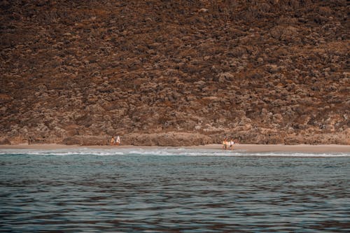 Бесплатное стоковое фото с люди, море, морской берег