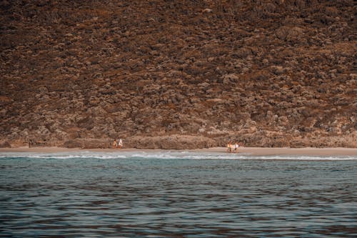 Kostnadsfri bild av gående, hav, havsstrand