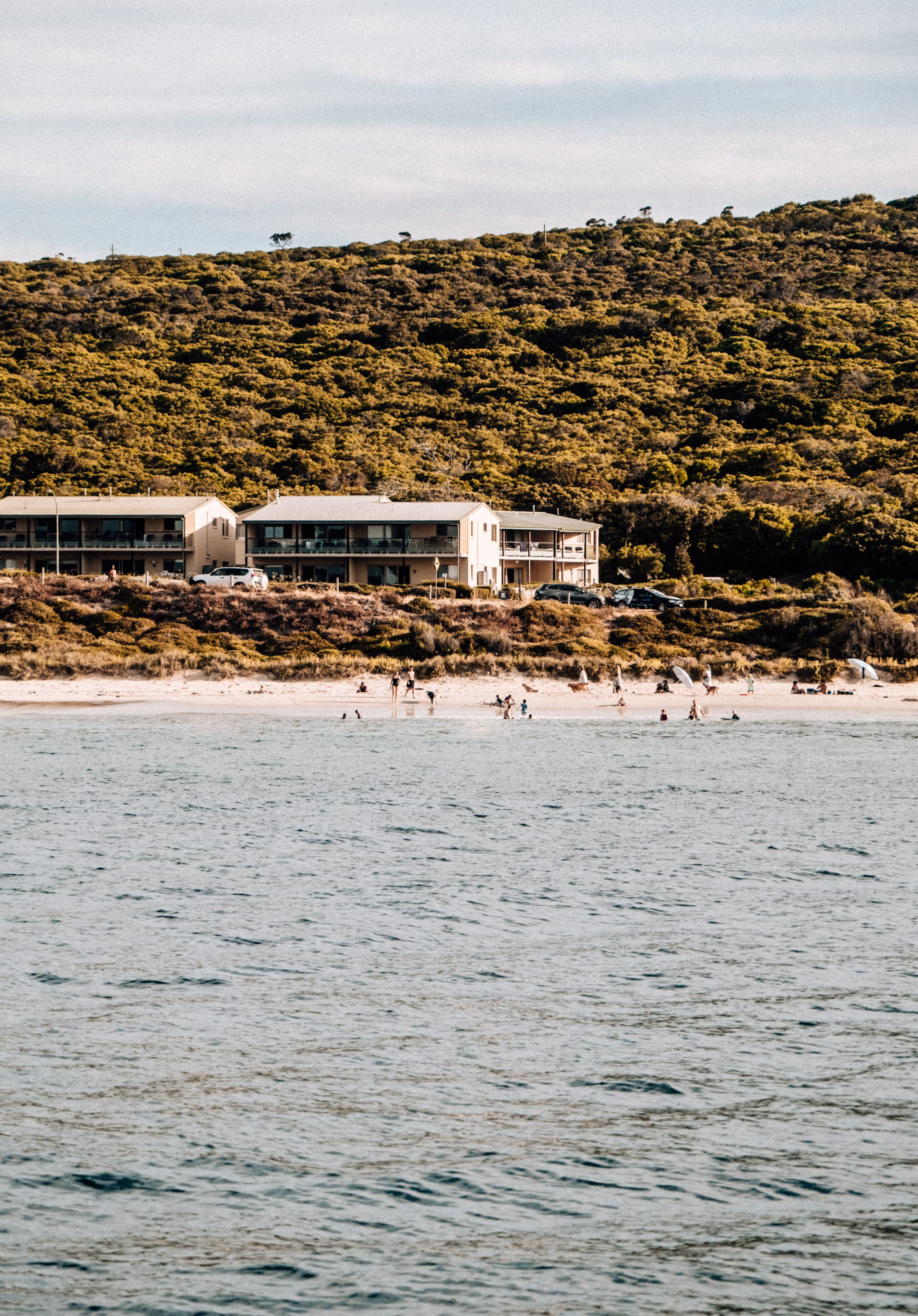 A tranquil beach scene with a forest backdrop, perfect for a summer getaway.