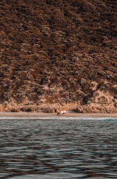Two surfers walking along a secluded rocky beach under a towering seaside cliff.