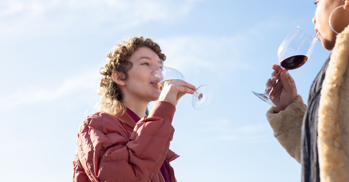 Fête du Vin Bordeaux 2026 : Guide Complet