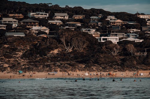 People Walking on the Shore