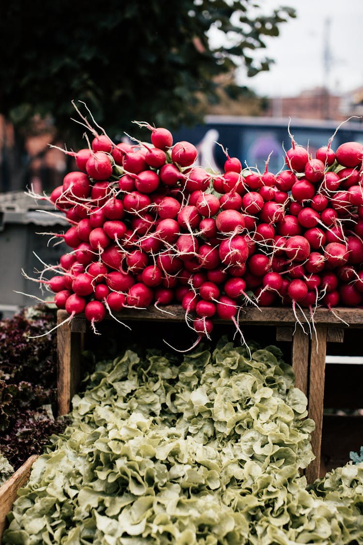 Piles Of Beetroots And Lettuce