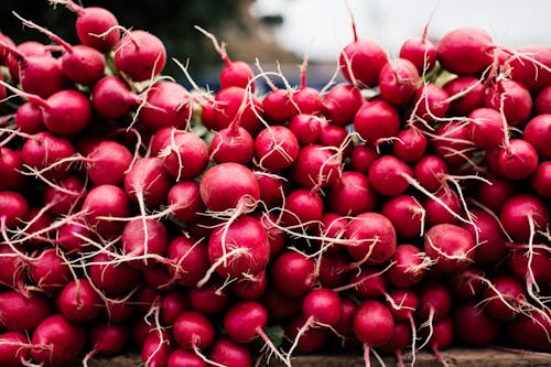 A Bunch of Red Radish in Close-up Photography