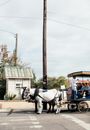 Tourists Riding on a Chariot