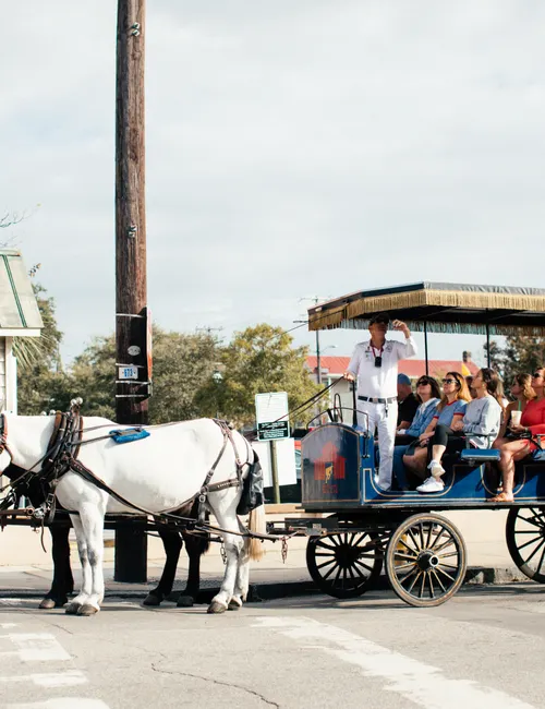 The Ultimate Jacksonville Food Culture & Local Eats Guide