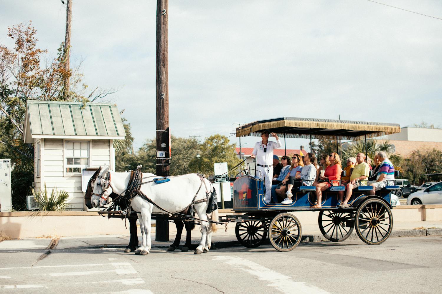 City carriage ride