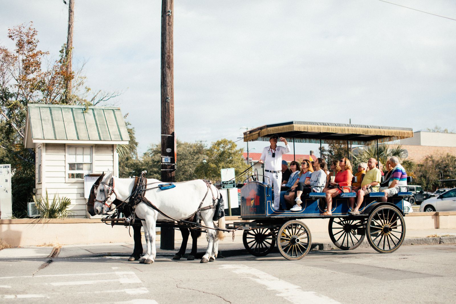 A carriage on Meeting Street. Take one at nine in the morning or after dark, never at two in the afternoon in July.