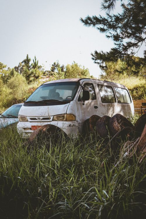 Free A neglected van surrounded by nature's reclaim in an outdoor setting. Stock Photo