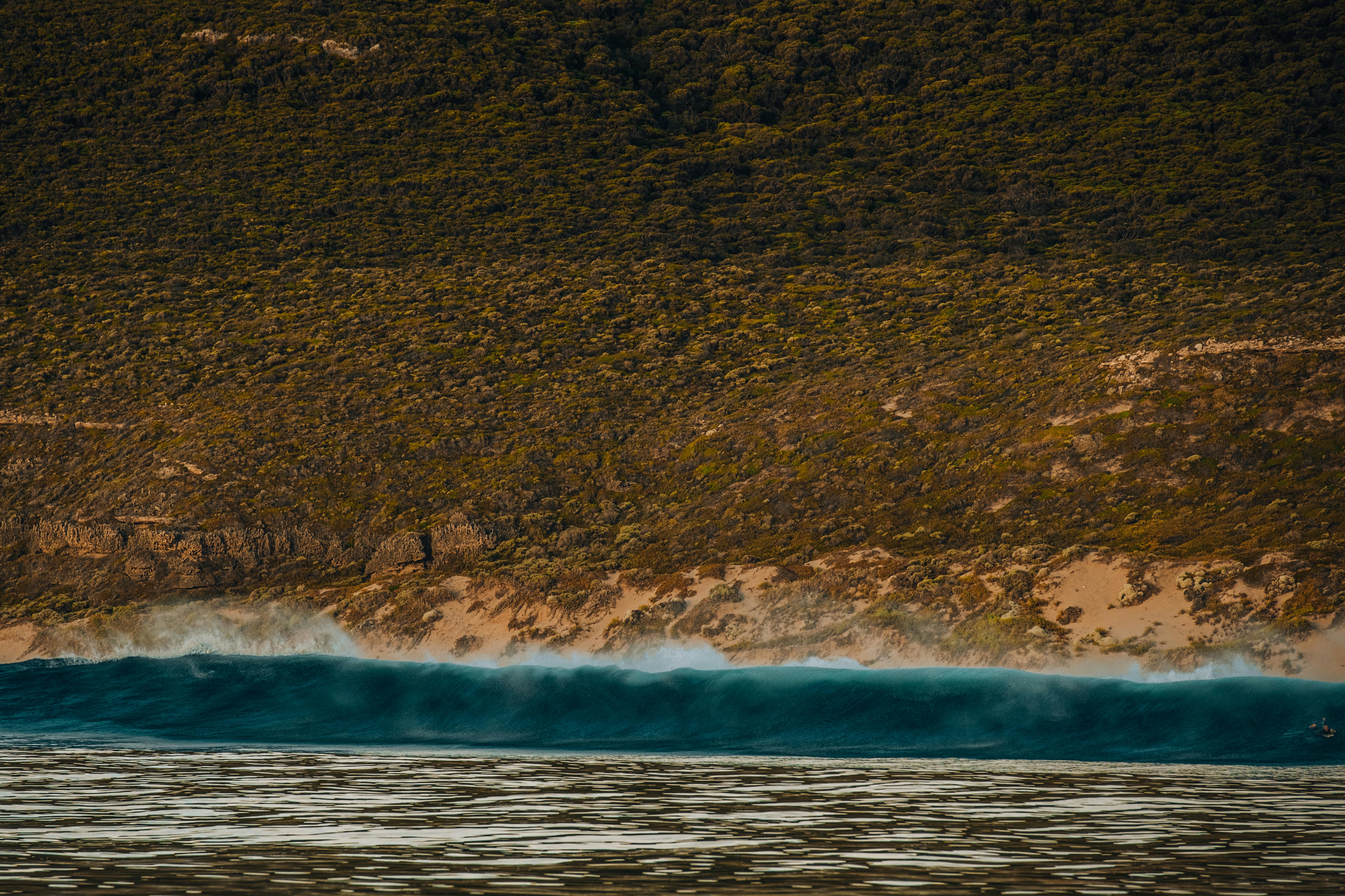 40,000+ Best 5k Wallpaper Photos · 100% Free Download · Pexels Stock Photos