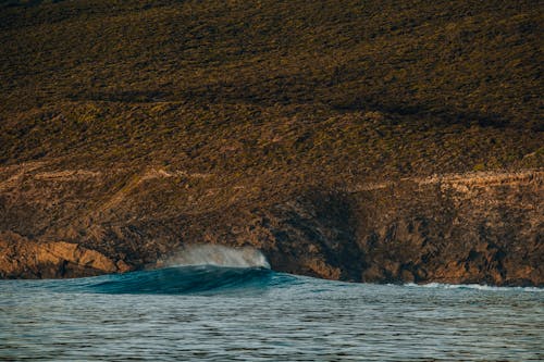 Ocean Waves Crashing the Shore