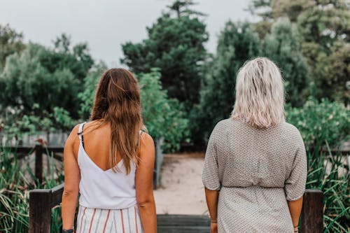 Free Back View of Women Standing Beside Each Other Stock Photo