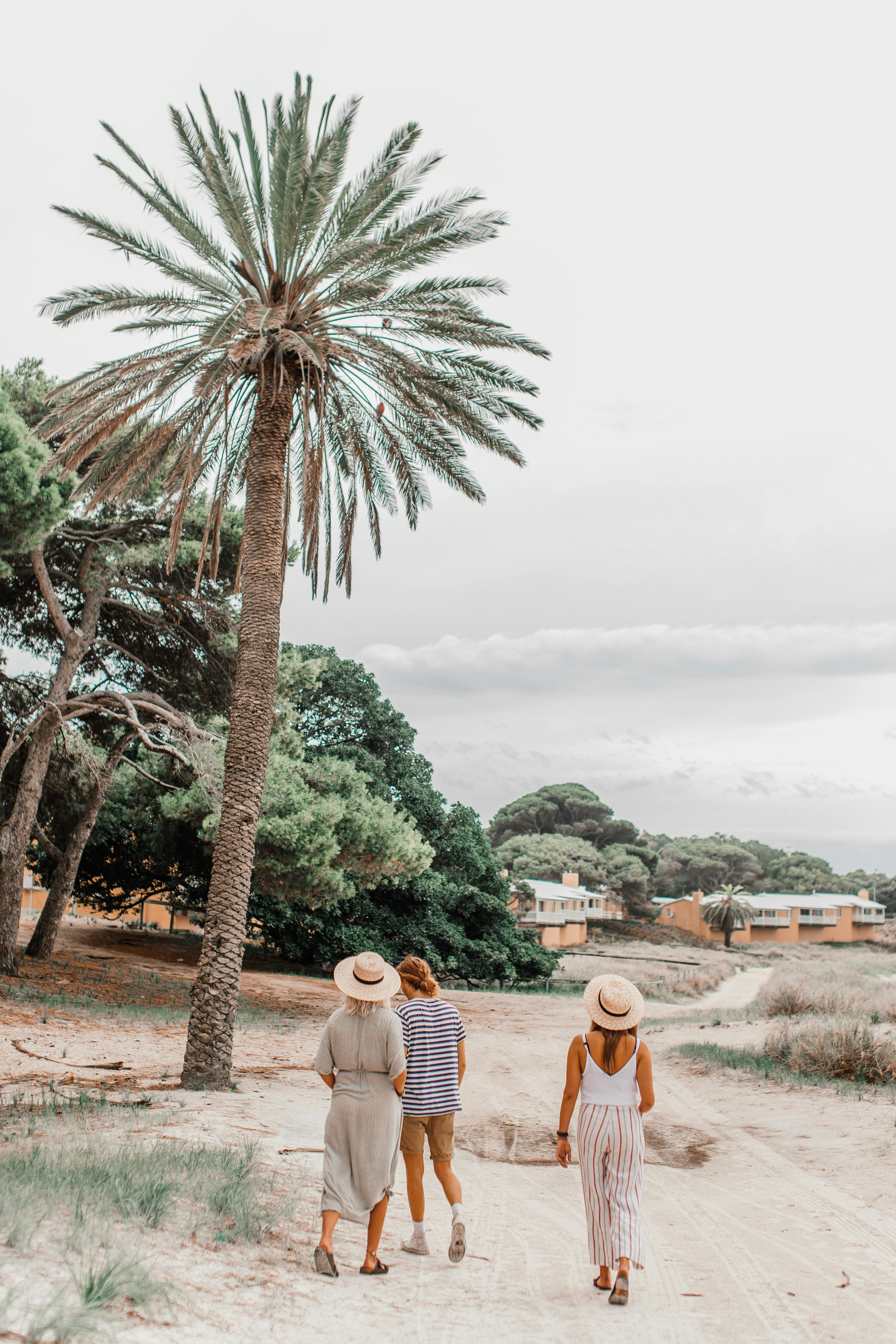 Three friends walk down a sandy path lined with palm trees, enjoying a serene outdoor setting.