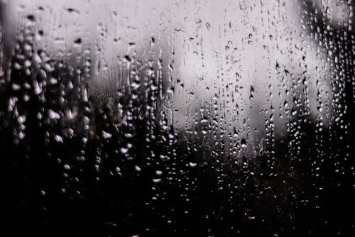 Darmowe zdjęcie z galerii z czarno-biały, krople deszczu, mokry