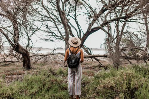 Free Woman with backpack and straw hat exploring a leafless forest in summer. Stock Photo