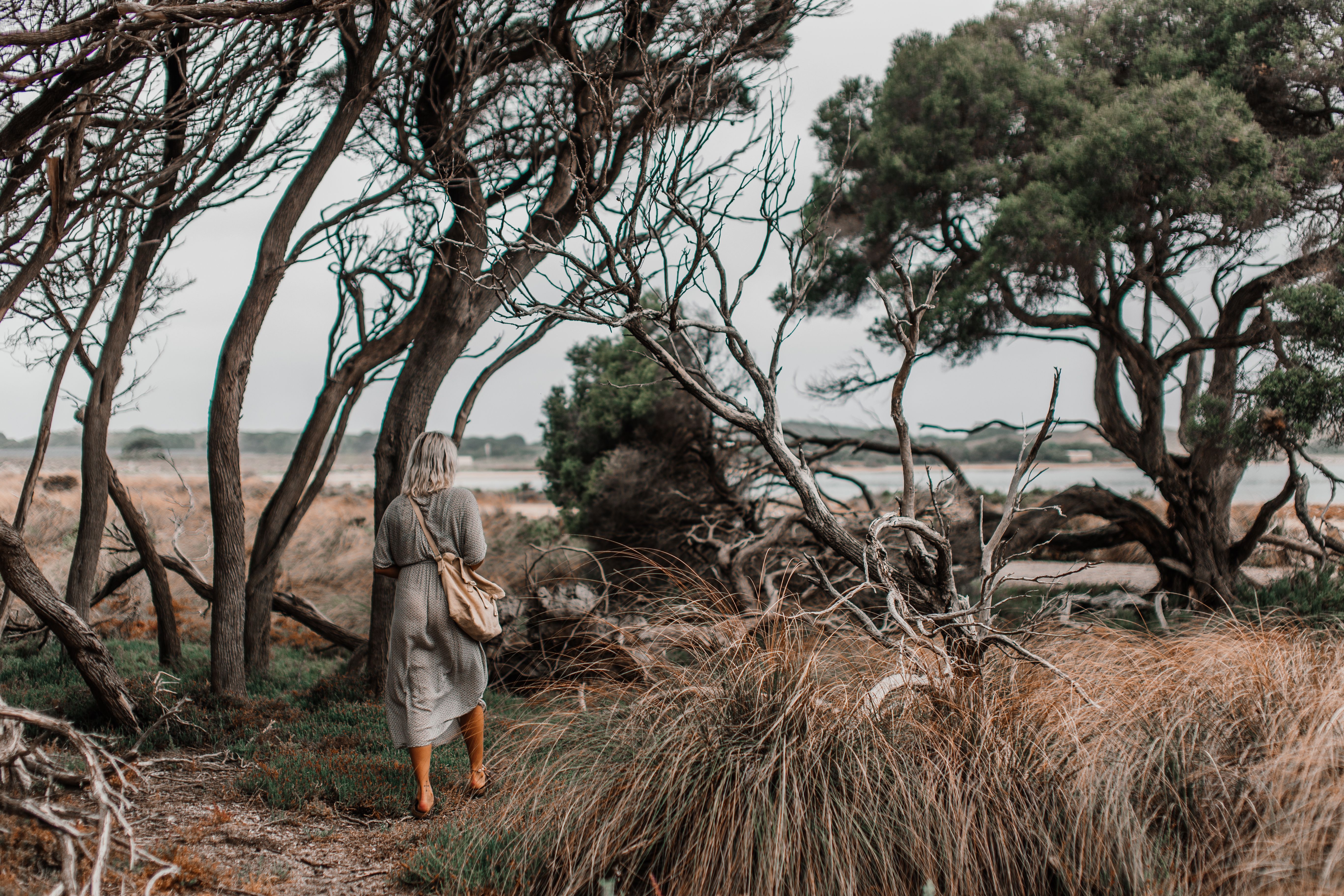 A woman in a dress and bag walks through a coastal woodland, surrounded by tall, windswept trees and grass.