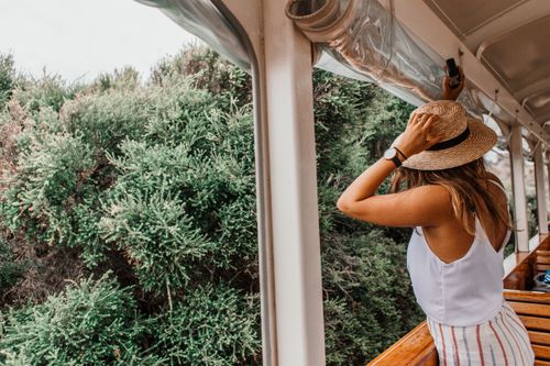 Free Woman in hat enjoying scenic view during a train journey through lush countryside. Stock Photo