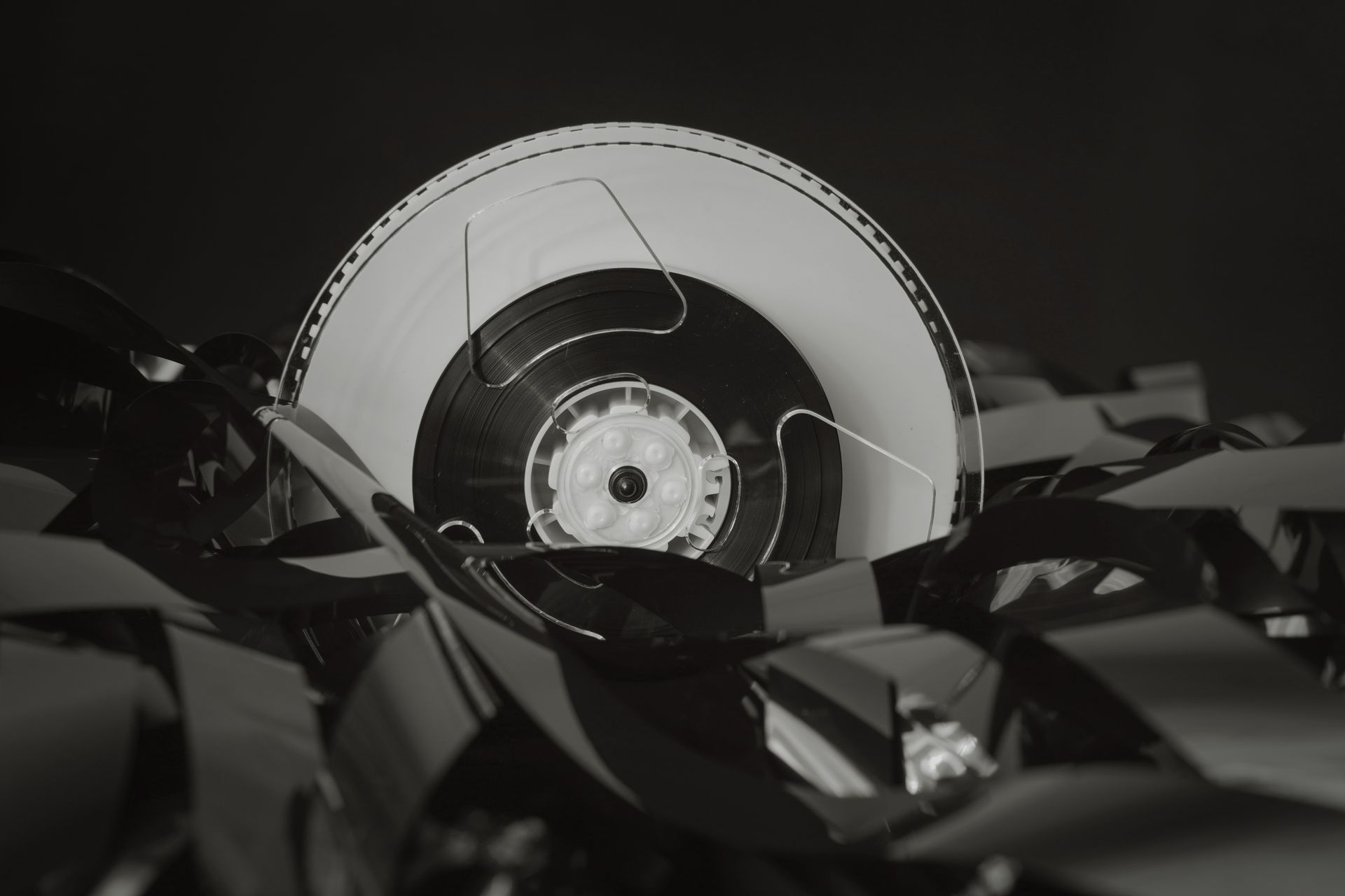 Defocused monochrome close-up of an archival magnetic data reel. Photo by Dmitry Demidov on Pexels.