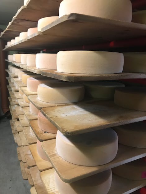 Free stock photo of cheese, factory, flims