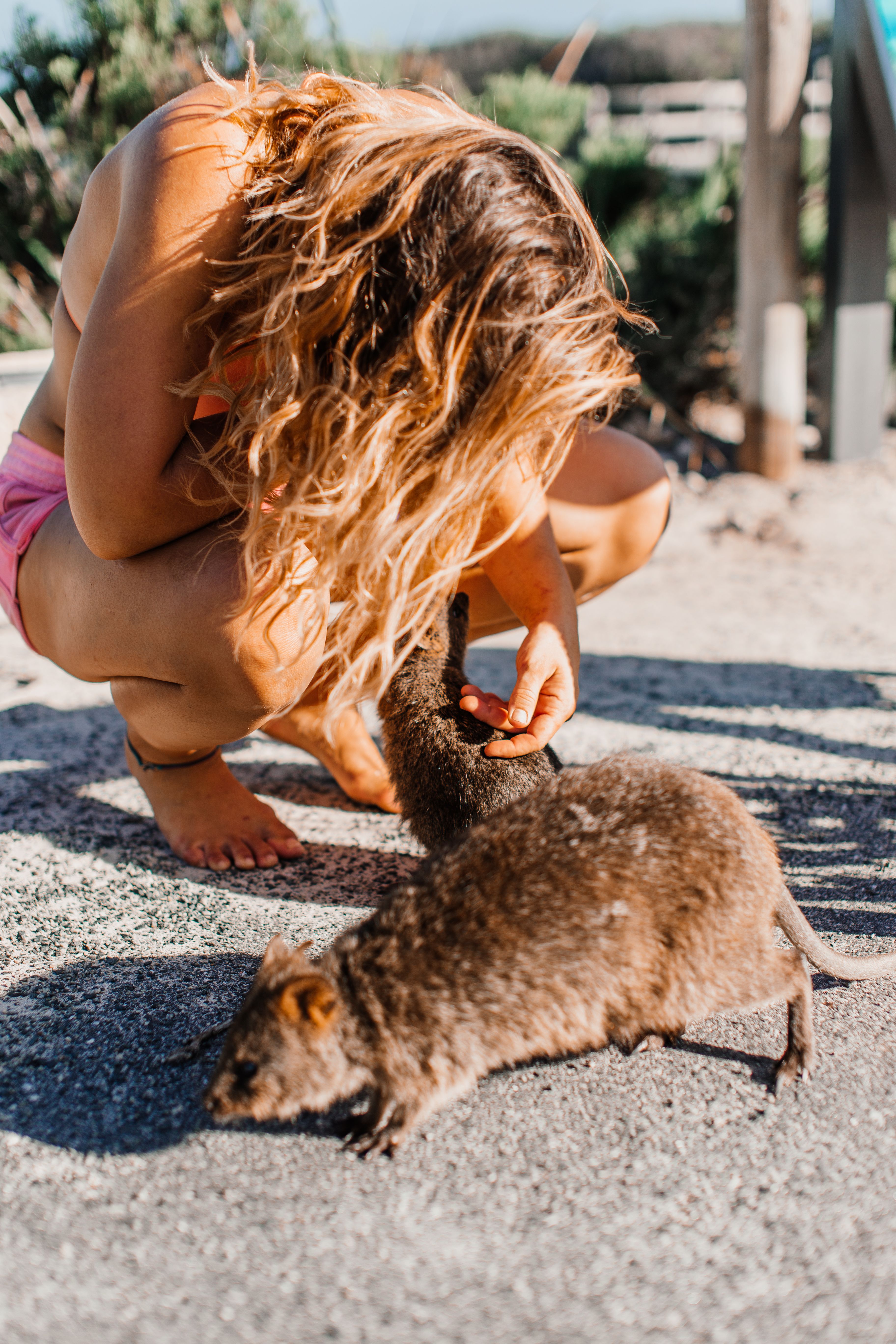4.  Unique Wildlife Encounters