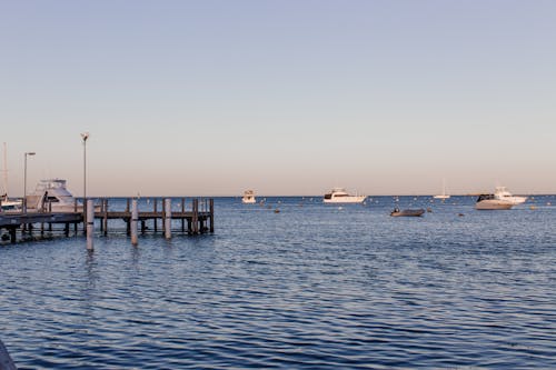 無料 ボート, マリーナ, 桟橋の無料の写真素材 写真素材