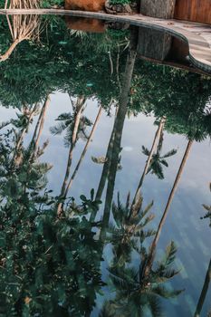Palm trees beautifully reflected upside down in a calm swimming pool.