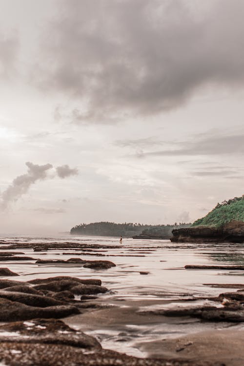 Overcast over Wet Beach