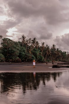 Dramatic beach scene with palm trees and dark clouds reflecting on water.