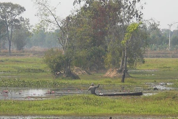 Aromatherapy Diffuser