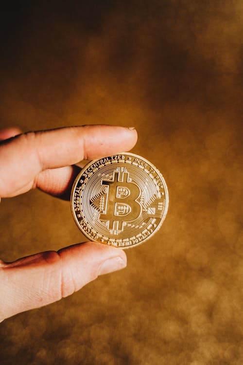 Free A Person Holding a Bitcoin Stock Photo
