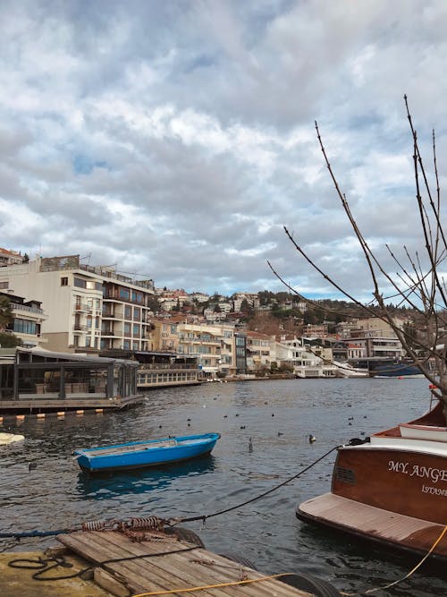 Ingyenes stockfotó bebek, bebeksahil, beğen témában