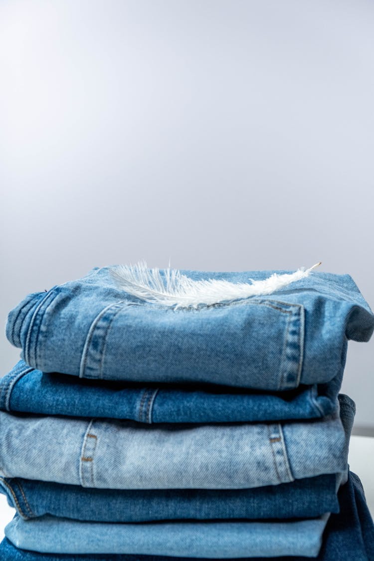 Feather On Top Of Denim Clothes