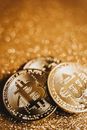 Close-up Photo of Gold Coins