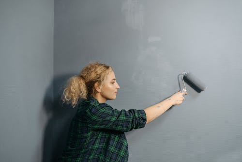 Fotobanka s bezplatnými fotkami na tému maľba, maliarsky valček, renovácia