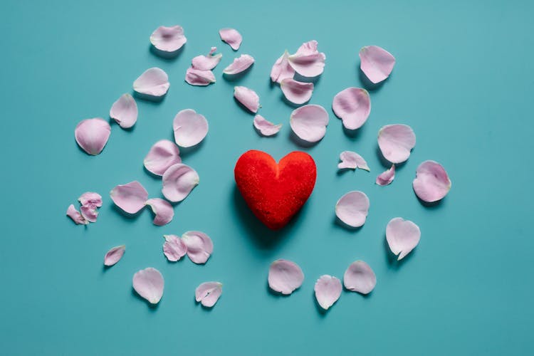 Flower Petals Scattered Around Decorative Heart