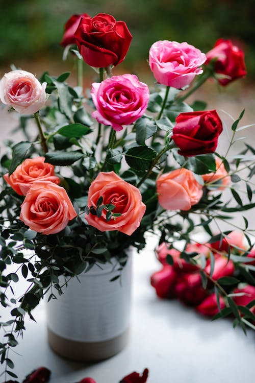 Free Roses in Variety of Colors in a Vase Stock Photo