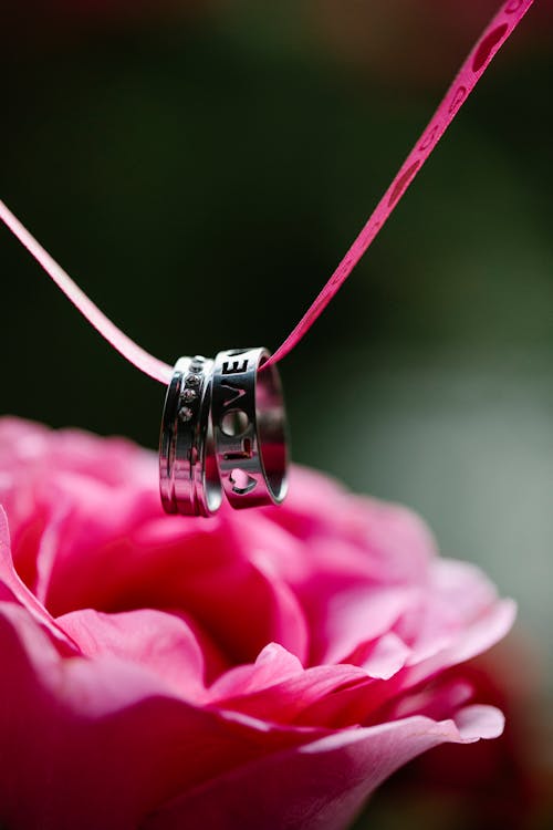 Silver engraved rings hanging on pink ribbon above blooming flower with pink petals on blurred background during romantic holiday celebration