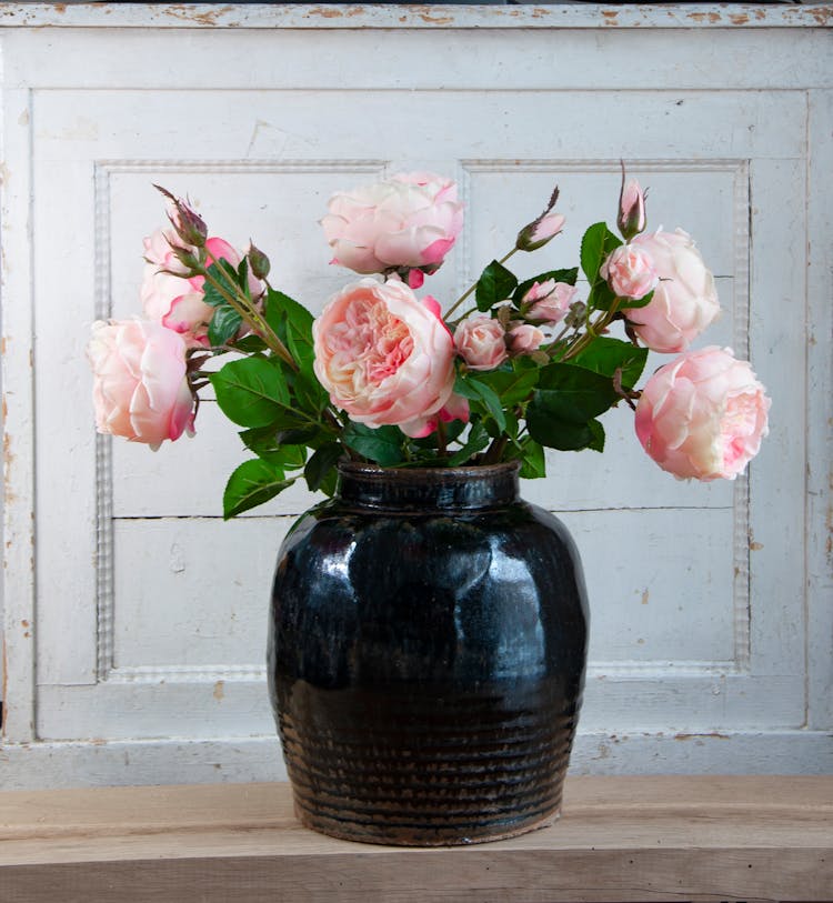 Pink Roses In Vase