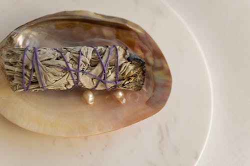 A Burning Sage on a Shell with Pearls