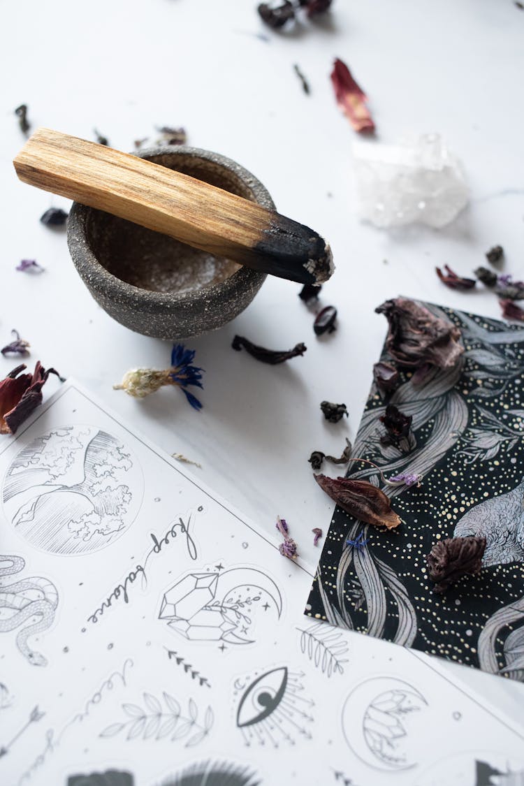 Dried Petals, Burnt Cinnamon And Drawings