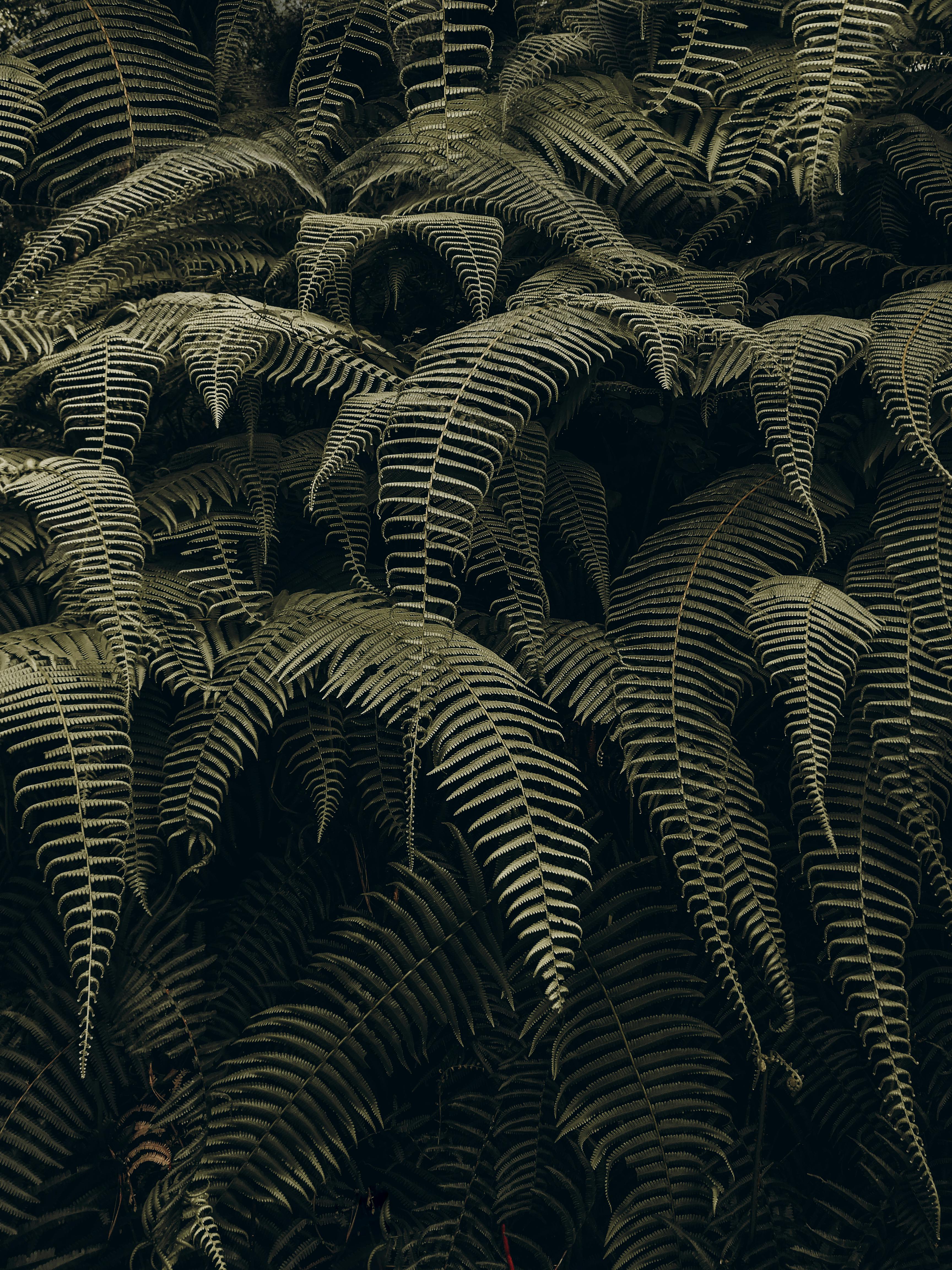 Photo by Jackson Pokhrel