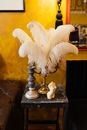 White Plumes on Candle Holders