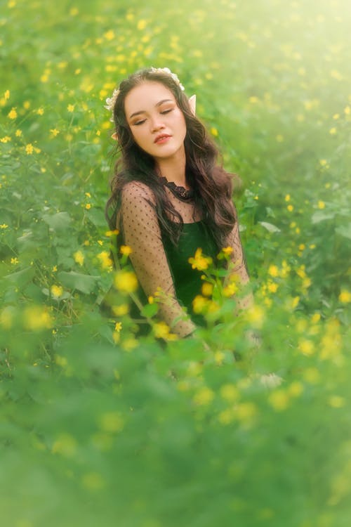 Kostenloses Stock Foto zu blumen, der grünen wiese, durchschauen