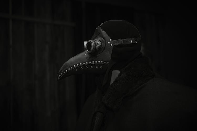 Plague Doctor Inspired Leather Mask